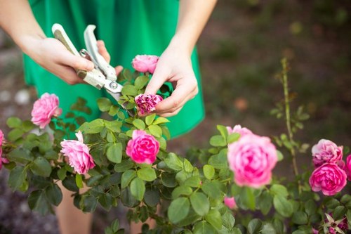 Operative wearing PPE while performing garden maintenance