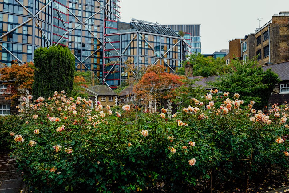 A lush garden features a dense bed of blooming pink and peach roses with dark green foliage, situated in front of a mix of small, traditional brick and tiled houses with pitched roofs. Behind the gard