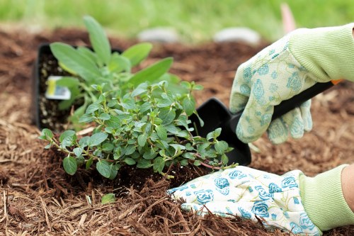 Smart gardening technology in use